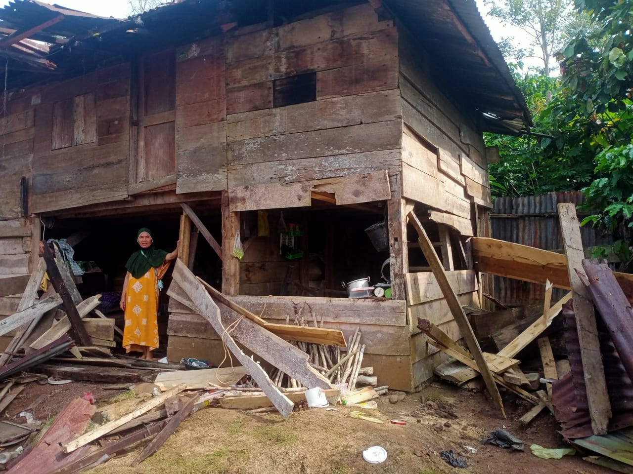 Kawanan Gajah Liar Rusak Rumah Warga di Lampung